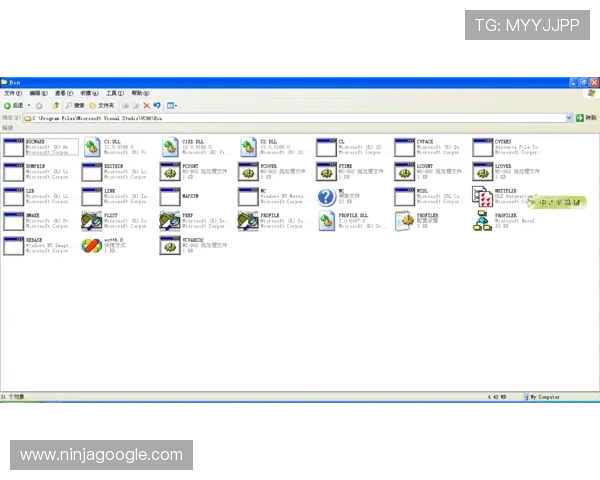 稳定可靠的ag视讯正规网站提供全天候无 interruption的游戏环境体验