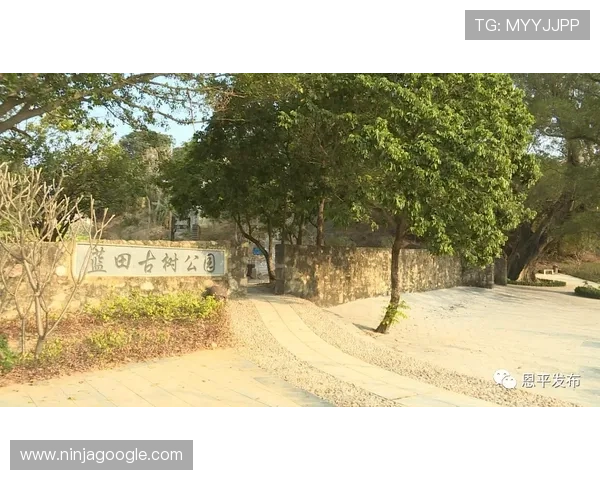 亚星娱乐手机版登录入口常见问题解答，解决登录困难与账号安全保障措施介绍